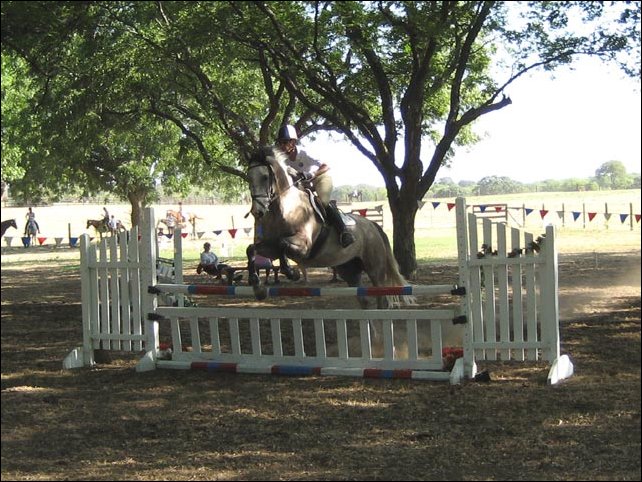 Lynne Partridge and Quickstep win Training CT