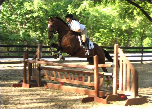 Samantha and Chasing Liberty place 4th in Preliminary