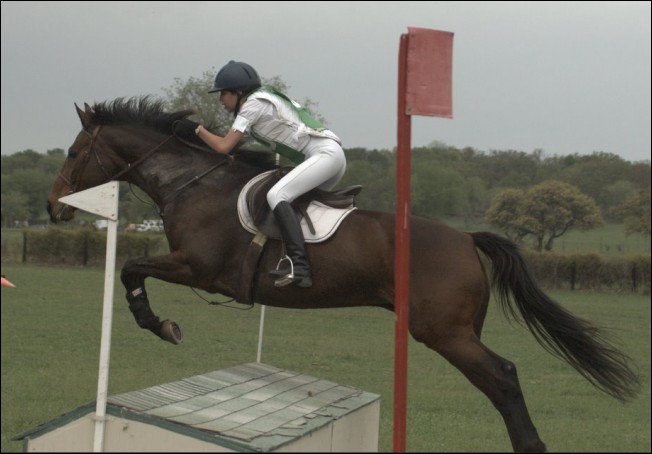 Geodryn Ewalt and G.G's Killarney Rose clear the loafing shed!